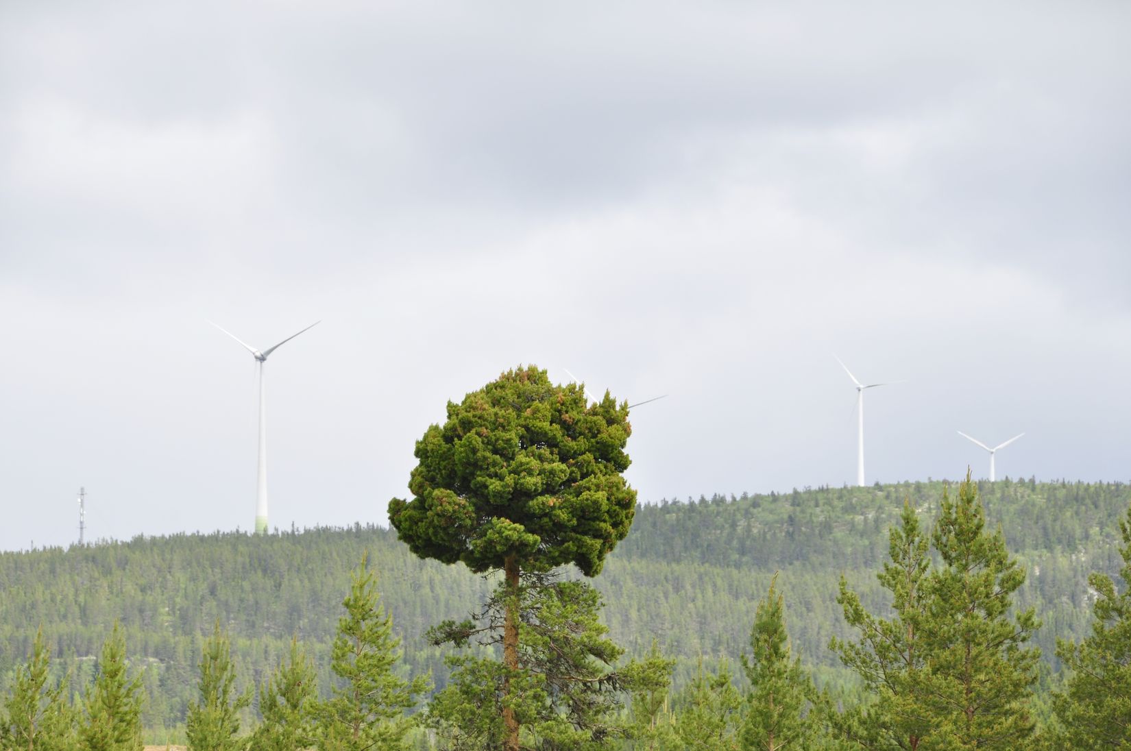 Villa, Kölvägen 11, Vemhån - Vemdalen, Härjedalen