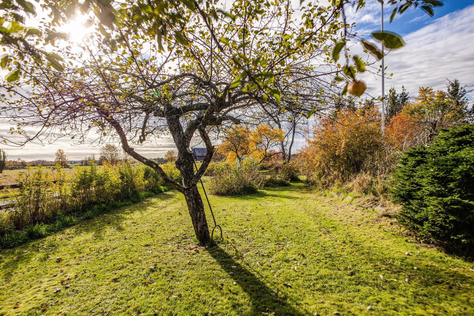 Villa, Gård/Skog, Bred Hamby 1, Enköping