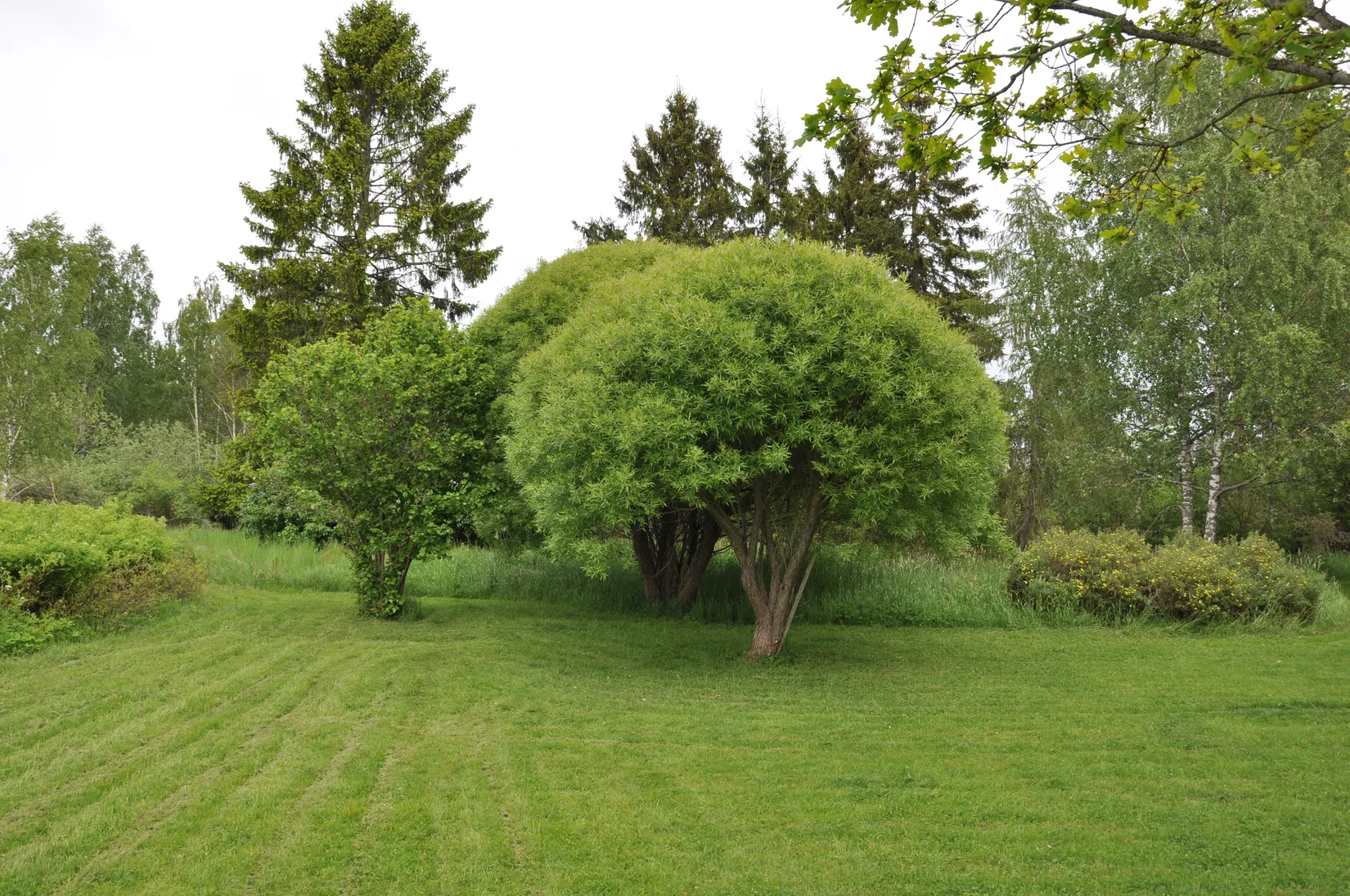 Villa, Gård/Skog, Bred Hamby 1, Enköping