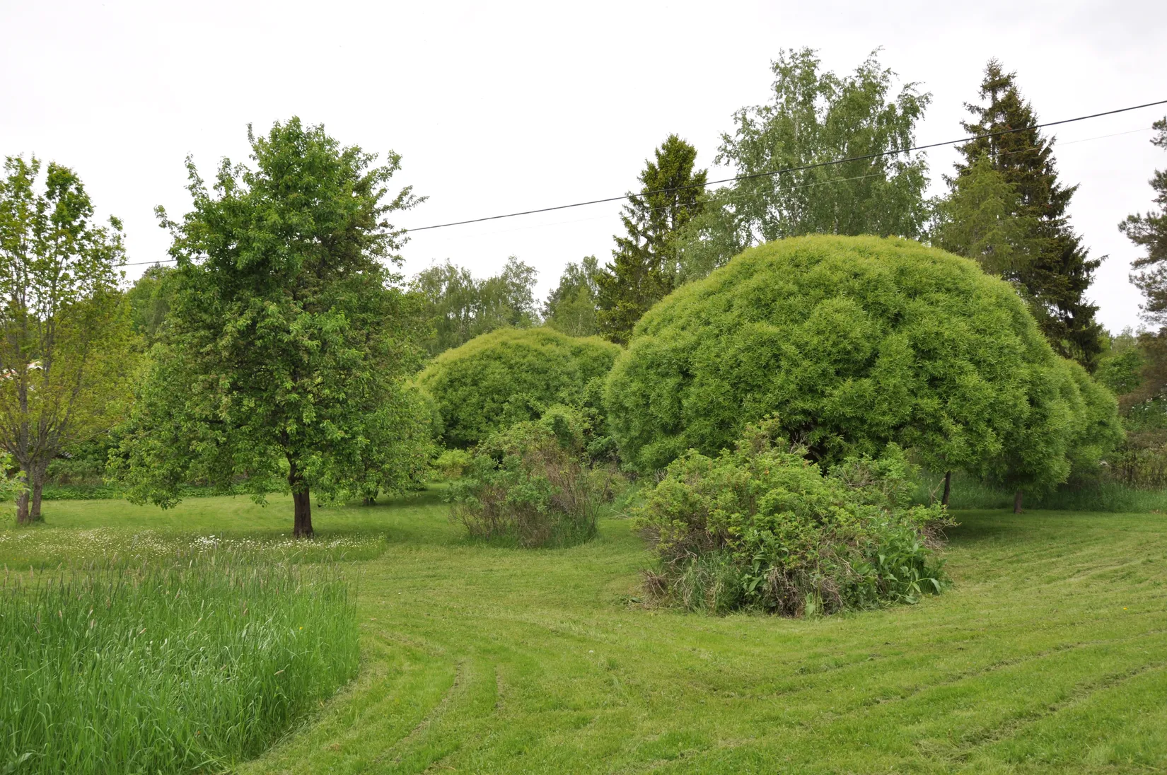 Villa, Gård/Skog, Bred Hamby 1, Enköping