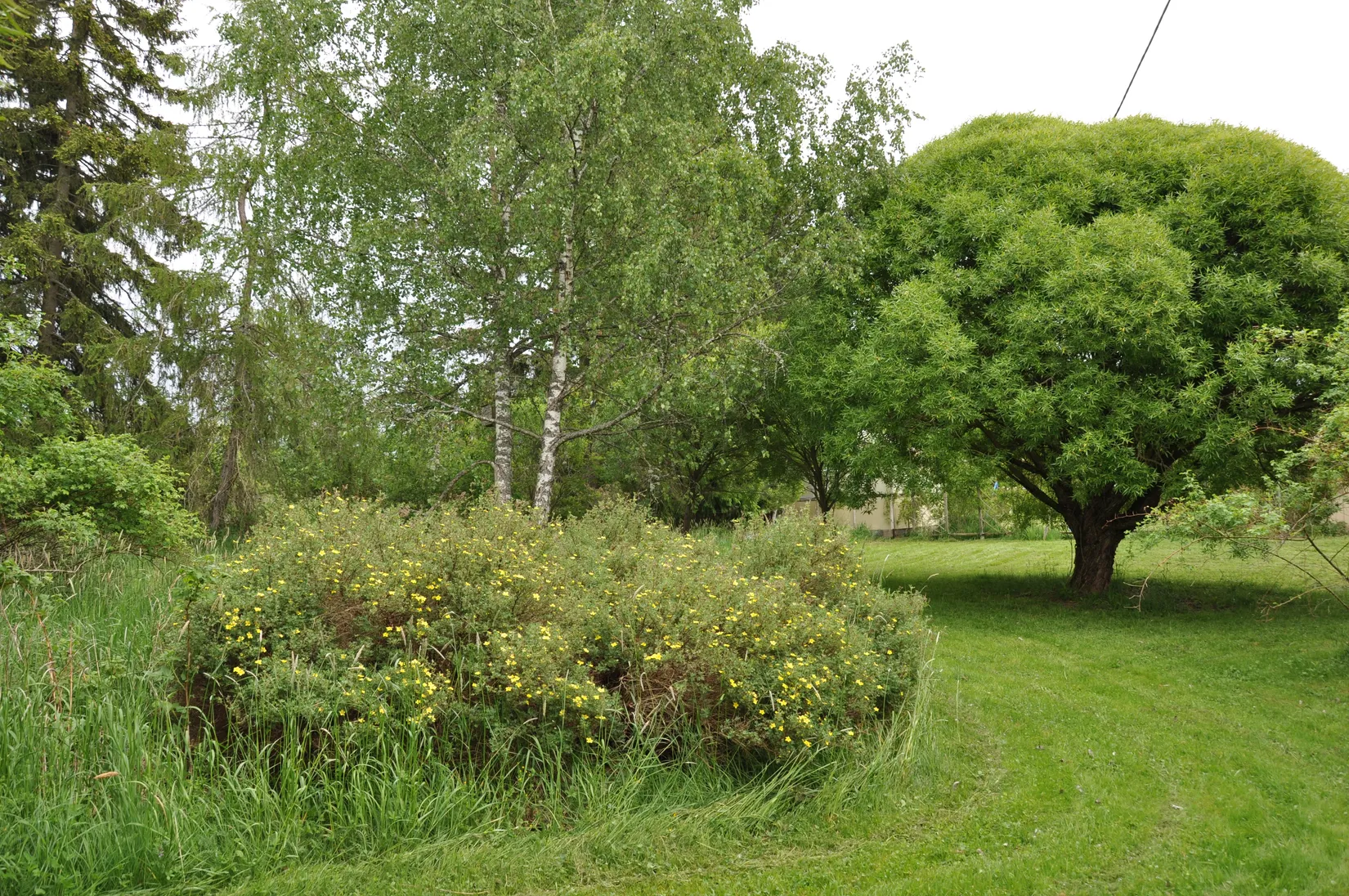 Villa, Gård/Skog, Bred Hamby 1, Enköping
