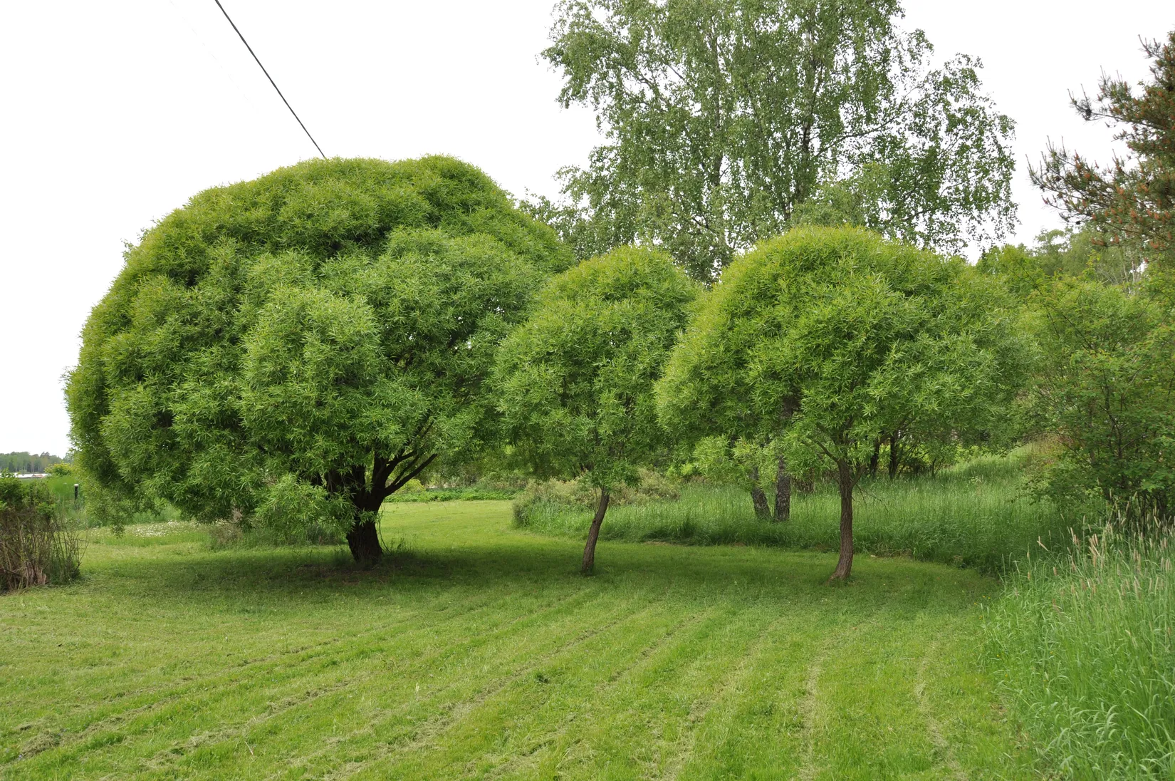 Villa, Gård/Skog, Bred Hamby 1, Enköping