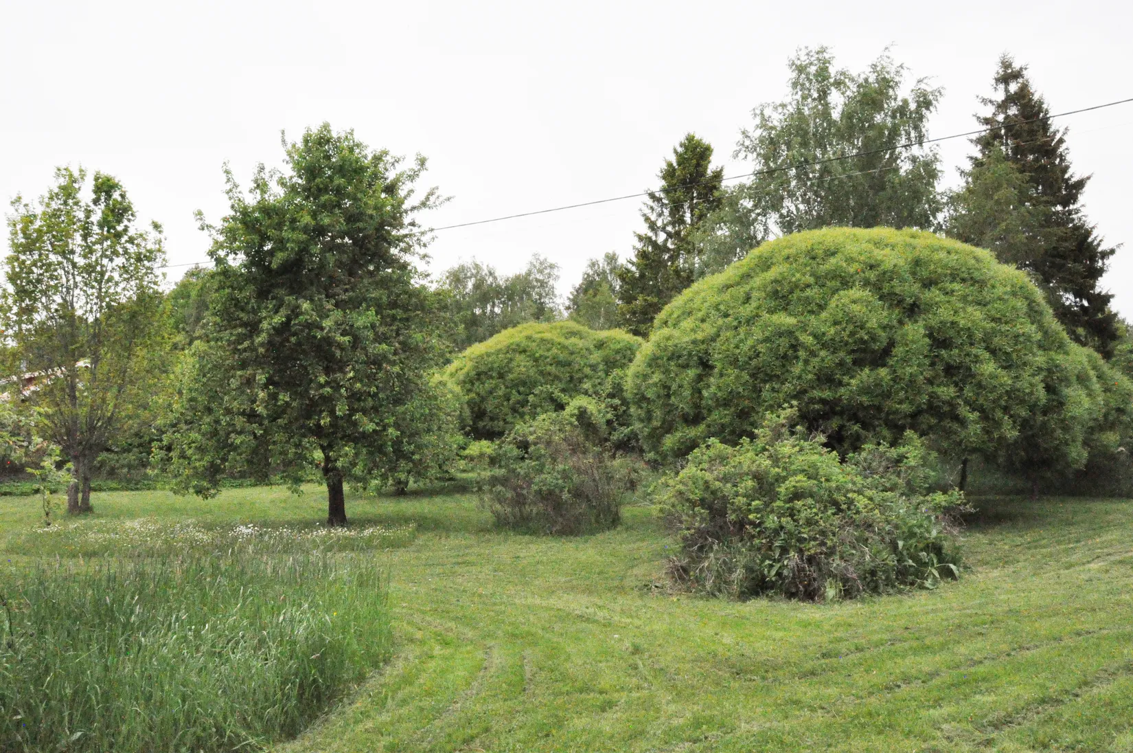 Villa, Gård/Skog, Bred Hamby 1, Enköping