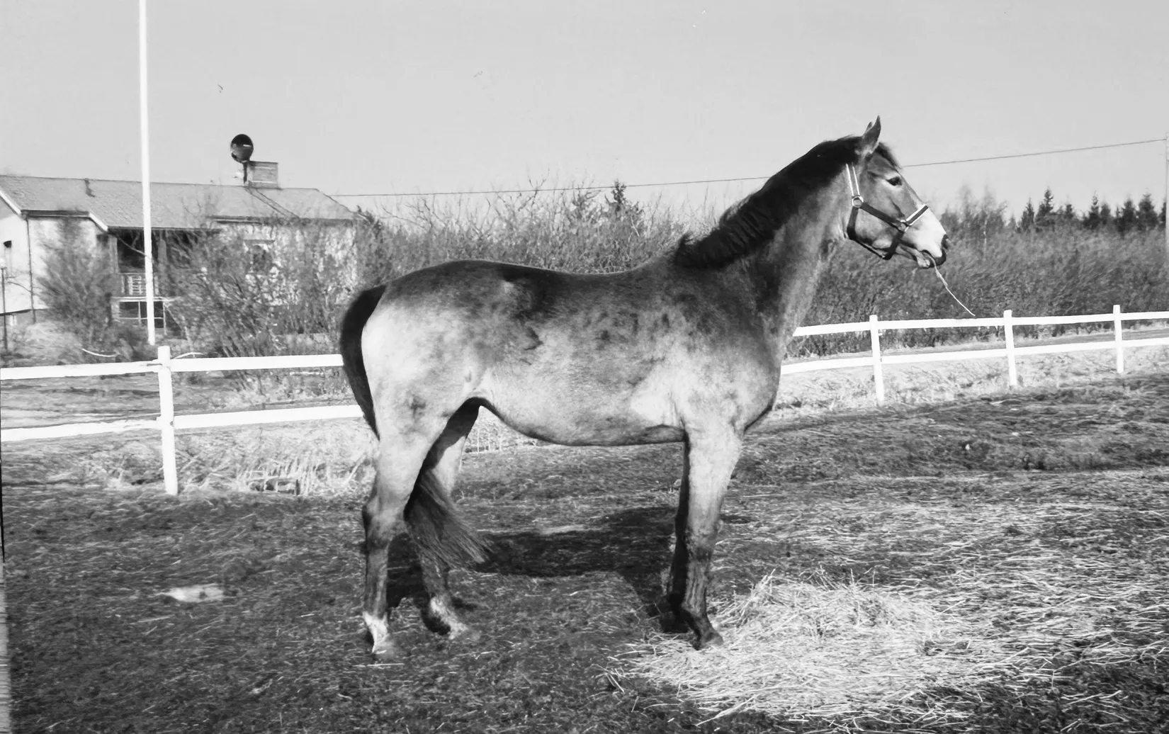 Villa, Gård/Skog, Bred Hamby 1, Enköping