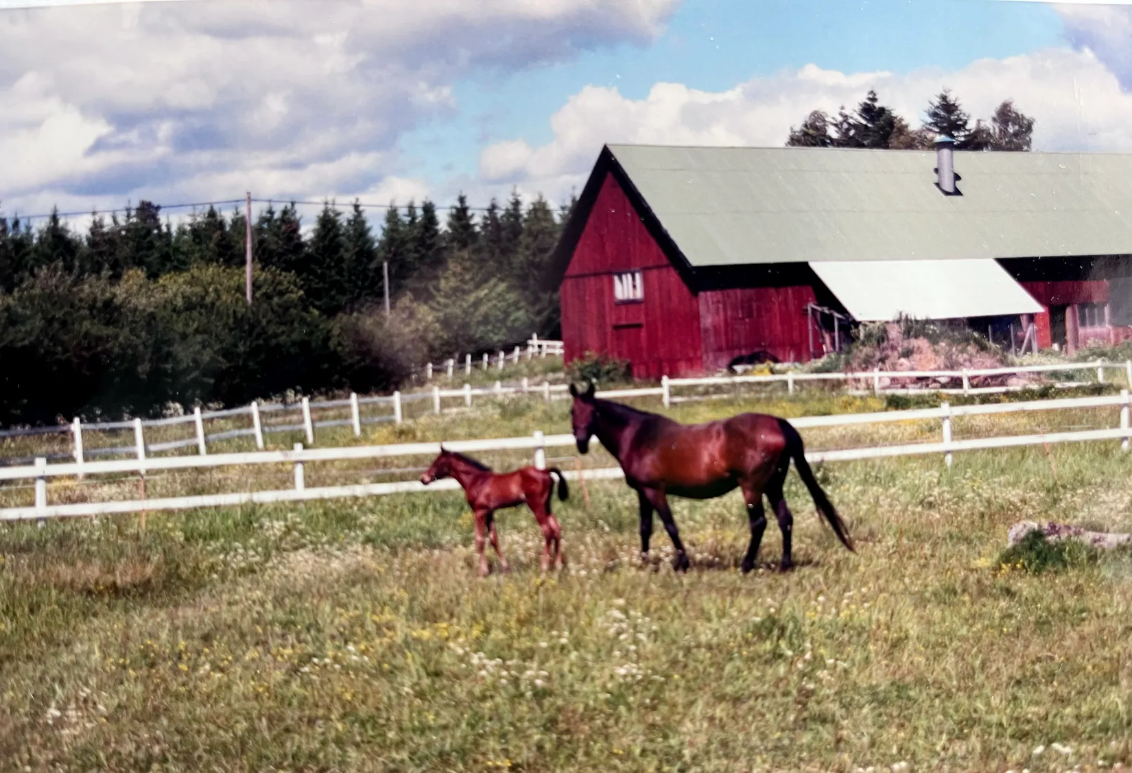 Villa, Gård/Skog, Bred Hamby 1, Enköping
