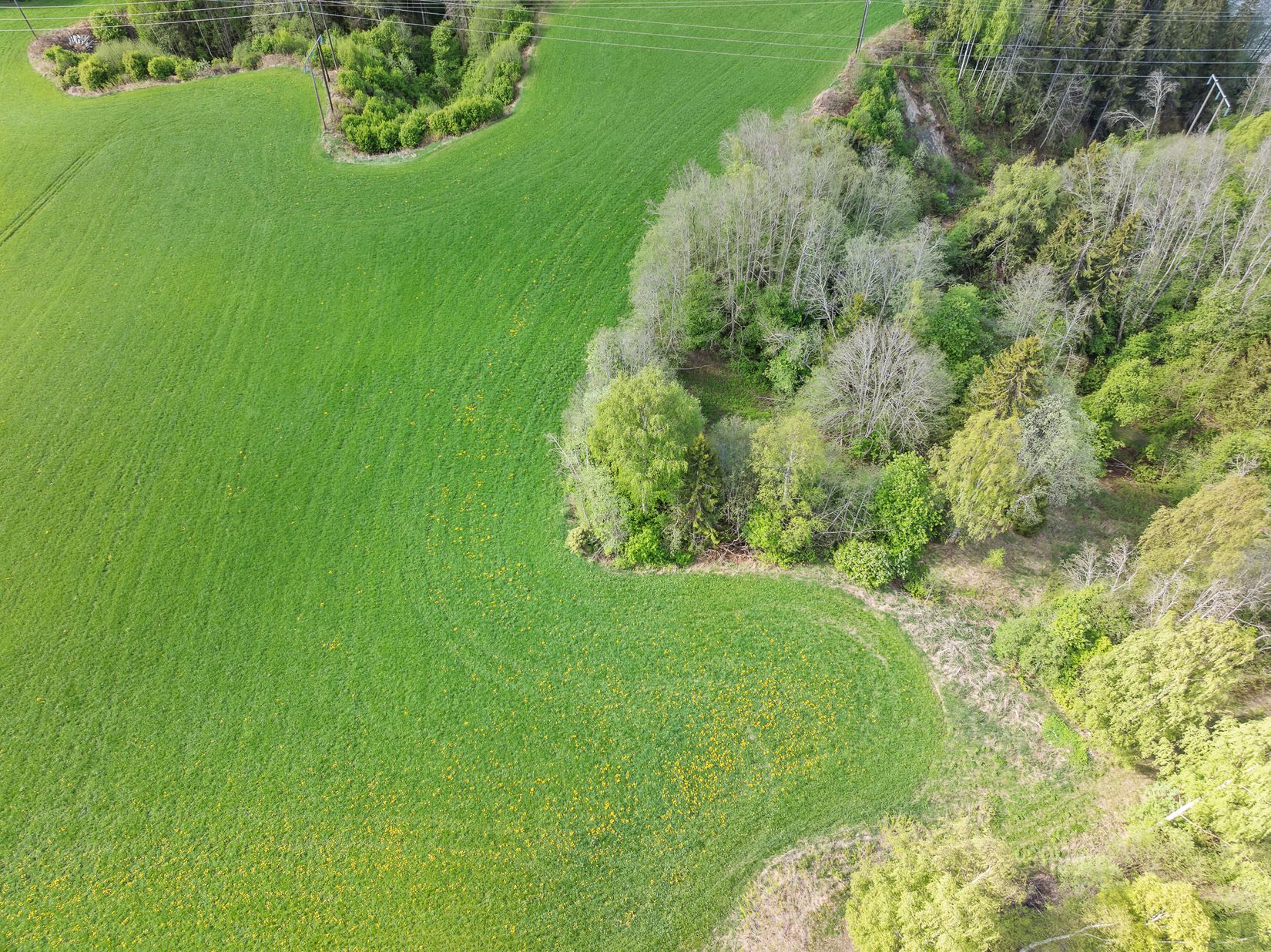 Gård/Skog, Österflygge 126, Liden, Sundsvall