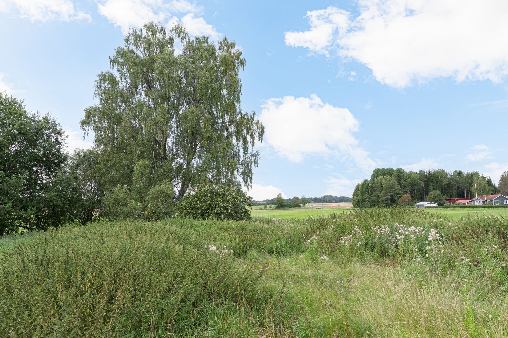 Tomt, Skräddarbol 101A, Uppsala