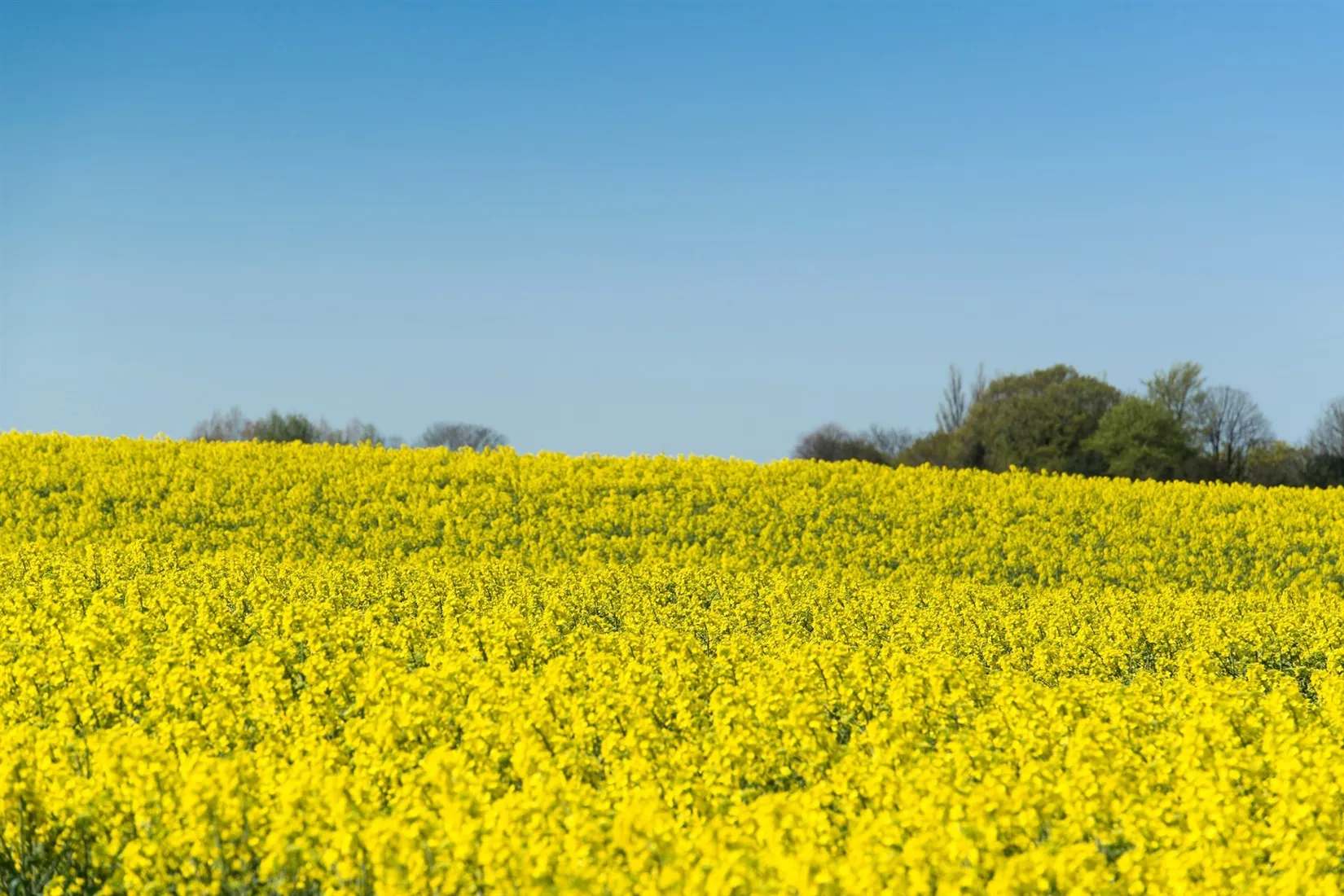 Villa, Ängagårdsvägen 13, Beddingestrand, Trelleborg