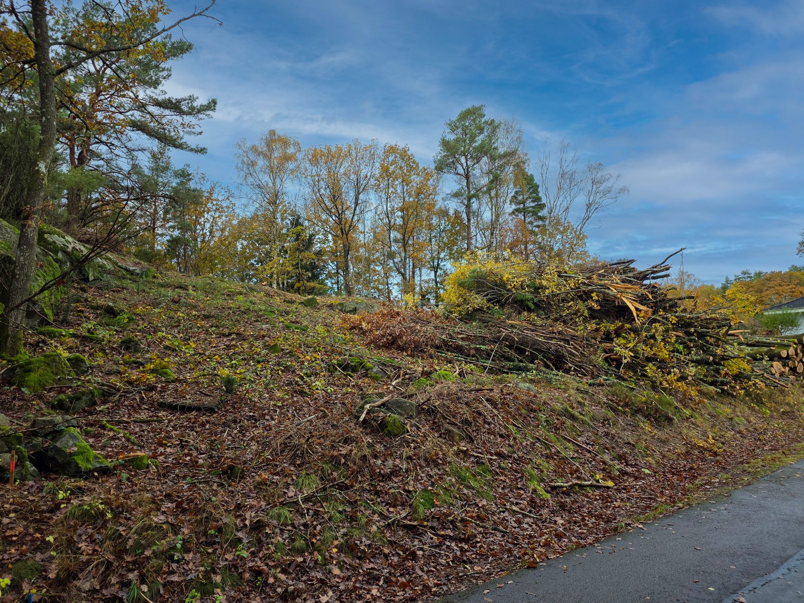 Tomt, Solbyvägen 81, Kungsbacka