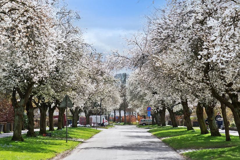 Bostadsrätt, Plommonvägen 14, Nilstorp, Lund