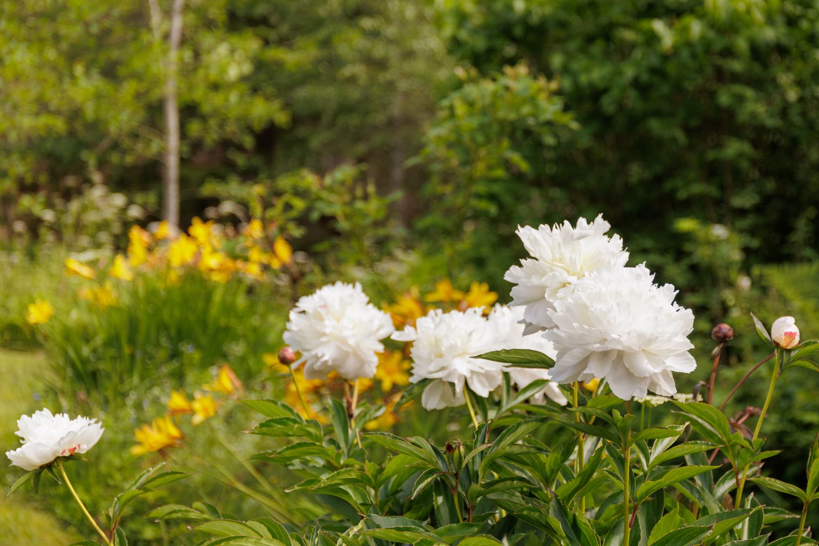 Villa, Östanås 226, Karlstad