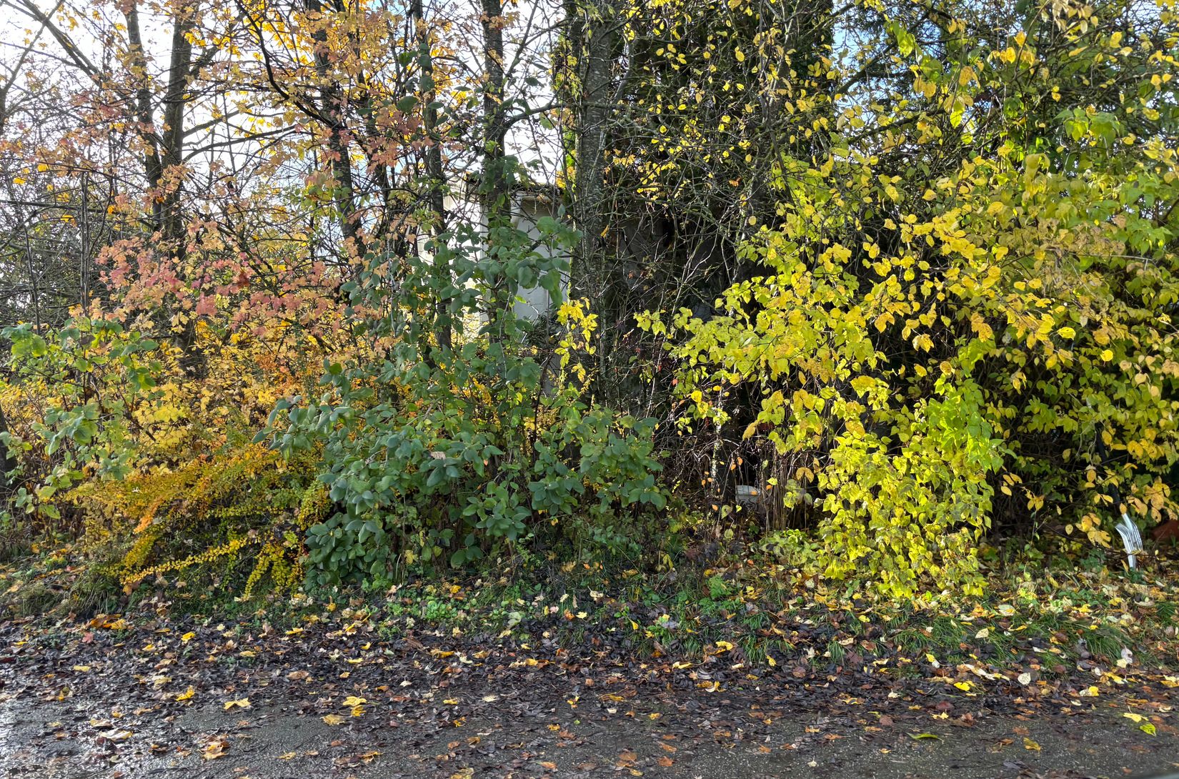 Tomt, Skogaholmsvägen 8, Marieberg, Örebro