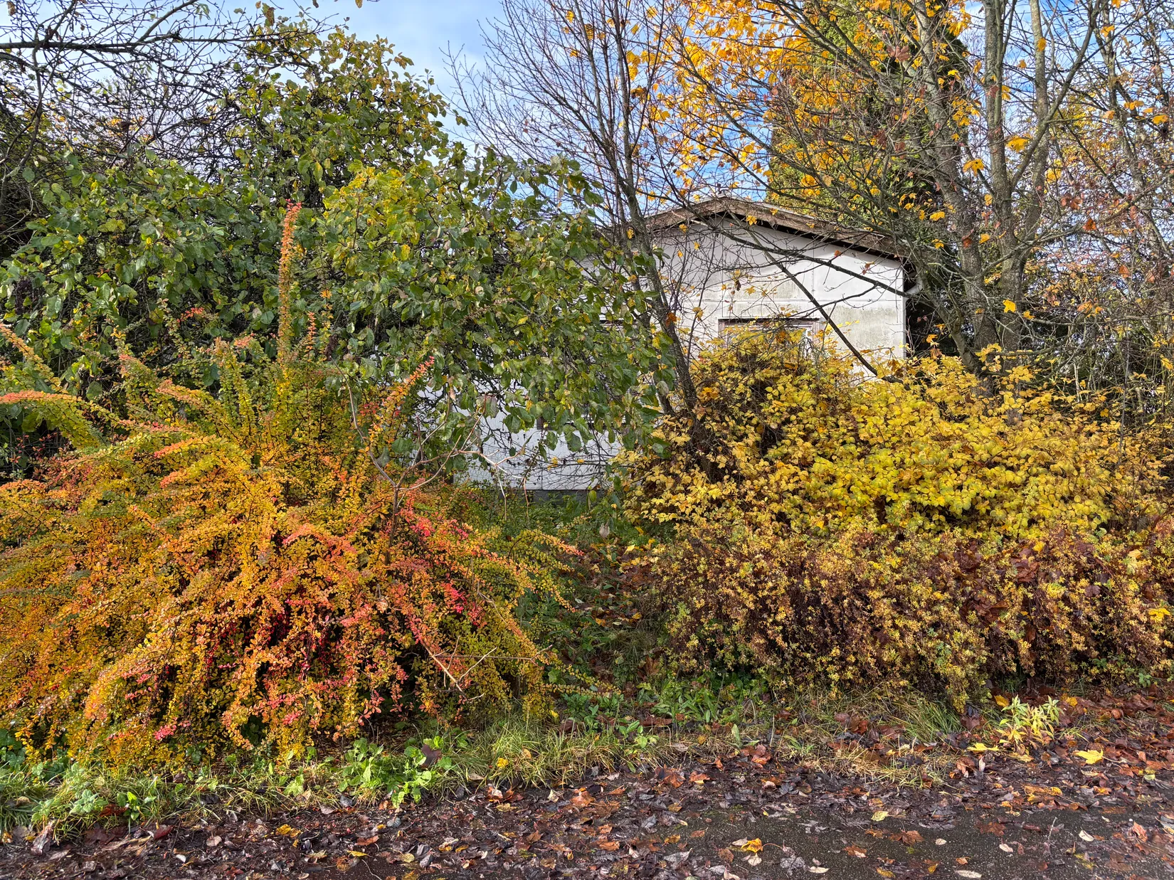 Tomt, Skogaholmsvägen 8, Marieberg, Örebro