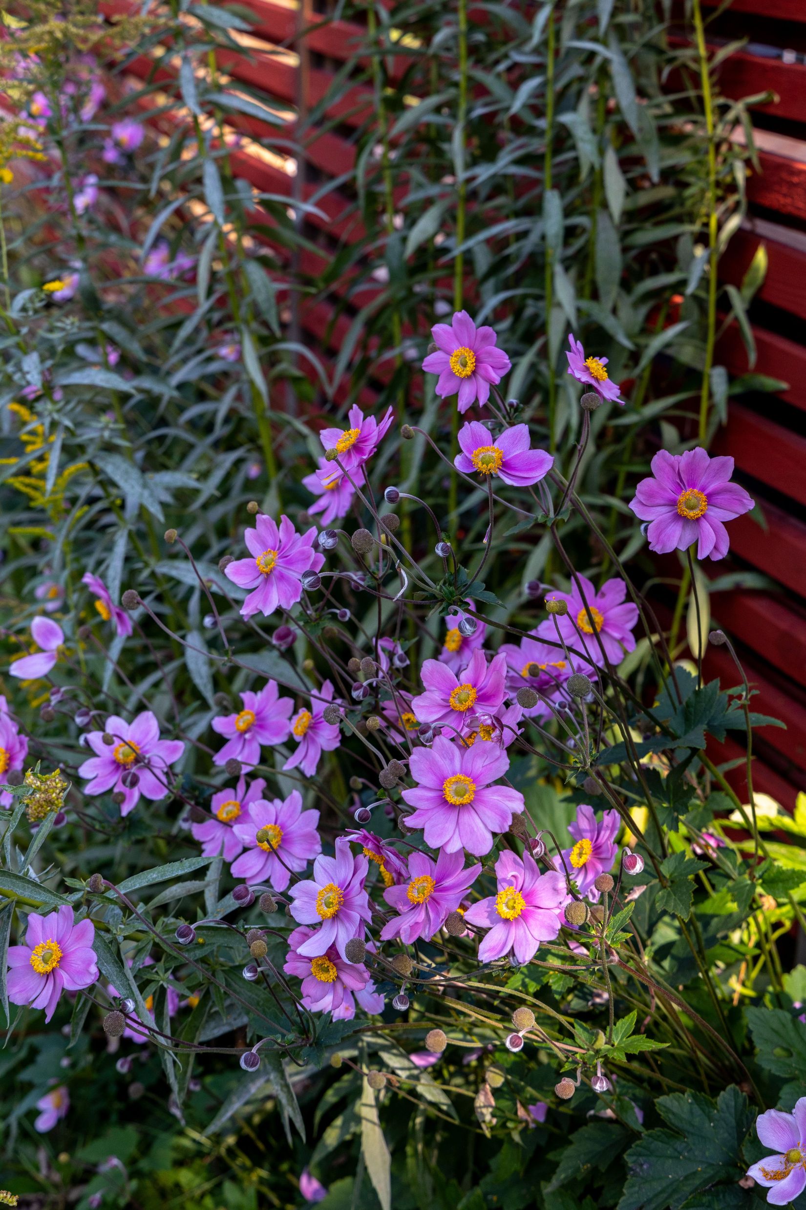 Villa, Alsteråvägen 71, Ålem, Mönsterås