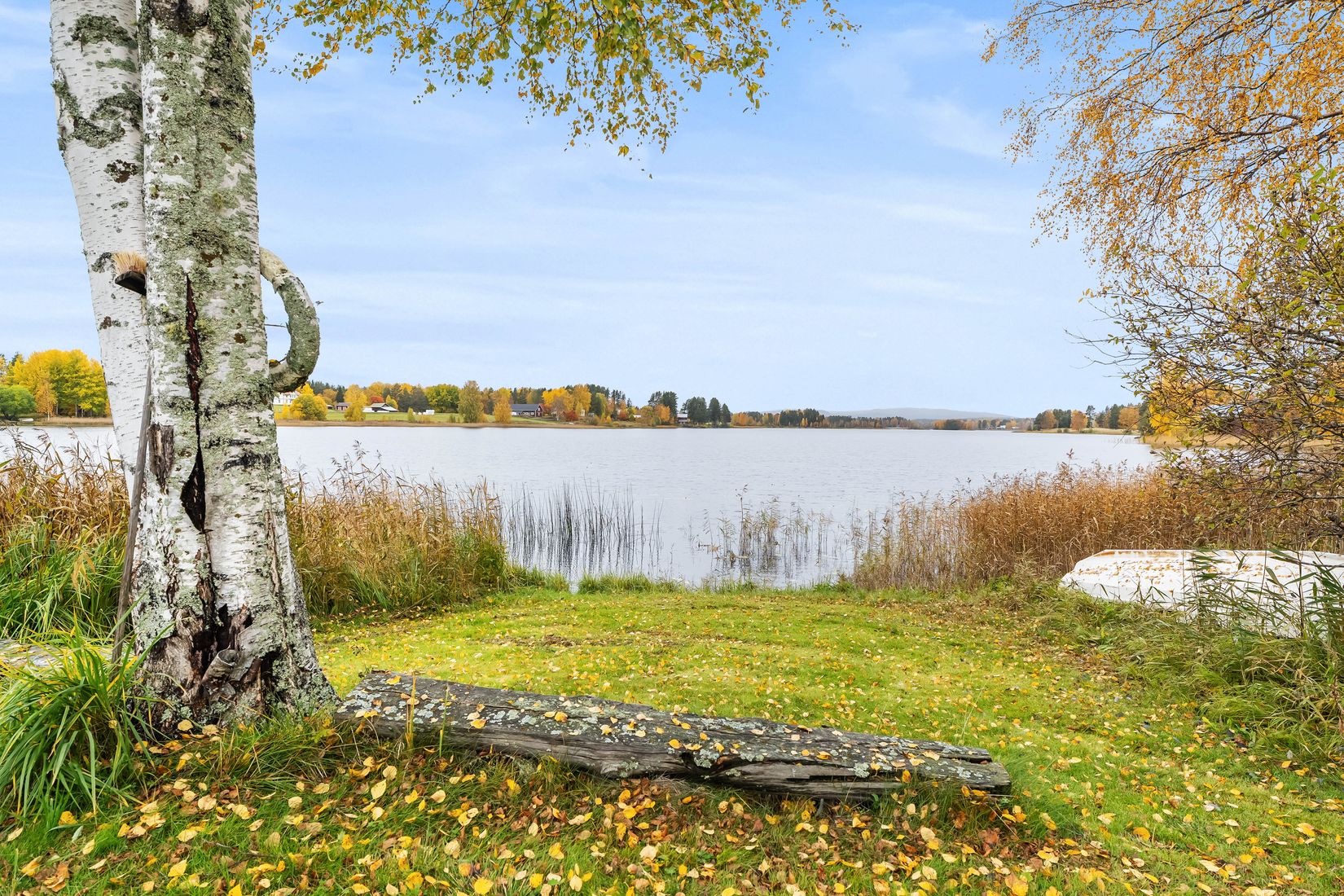 Gård/Skog, Västerede 305, Ånge
