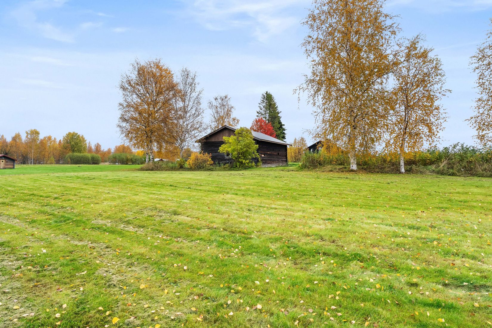 Gård/Skog, Västerede 305, Ånge