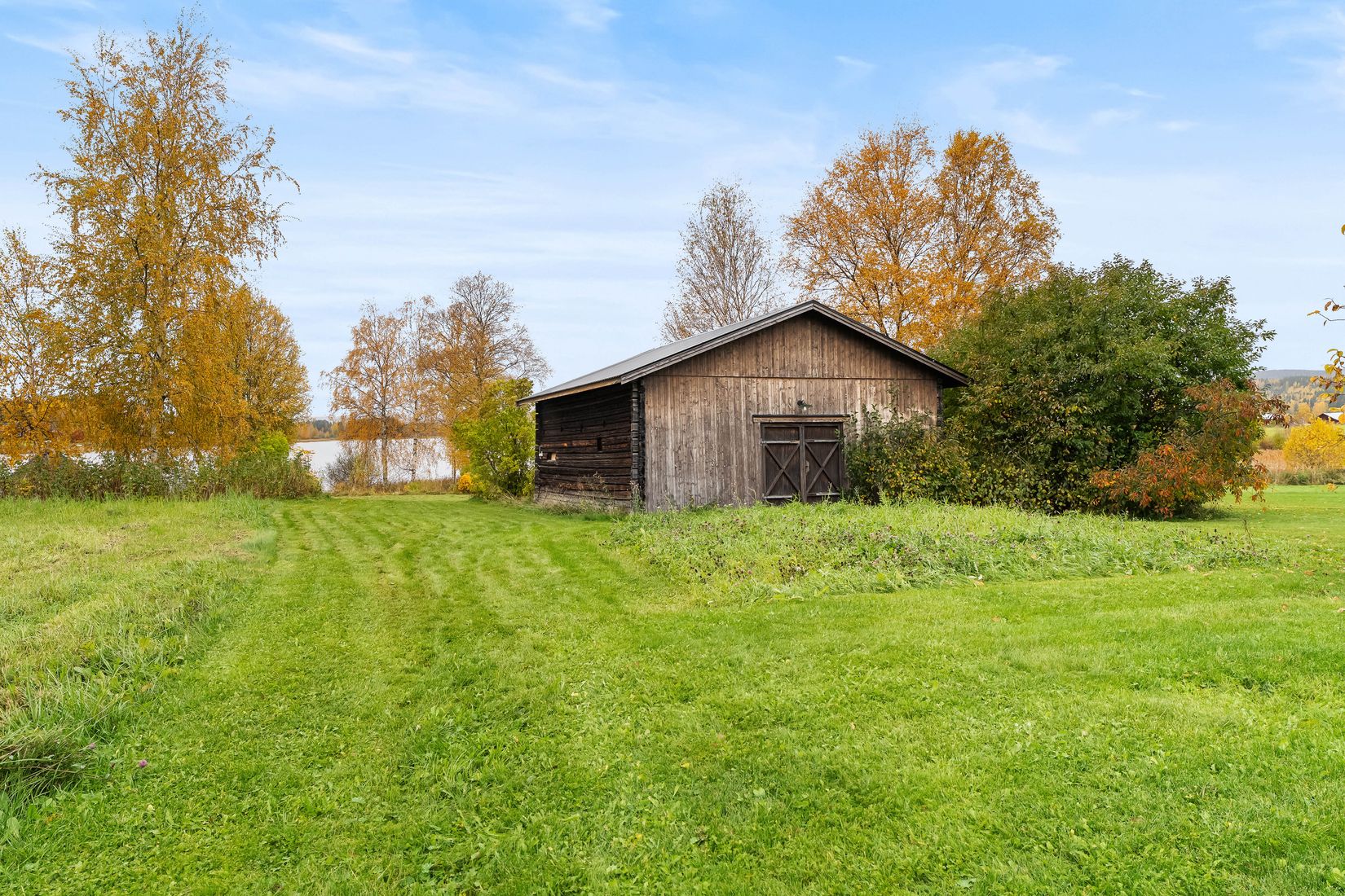 Gård/Skog, Västerede 305, Ånge