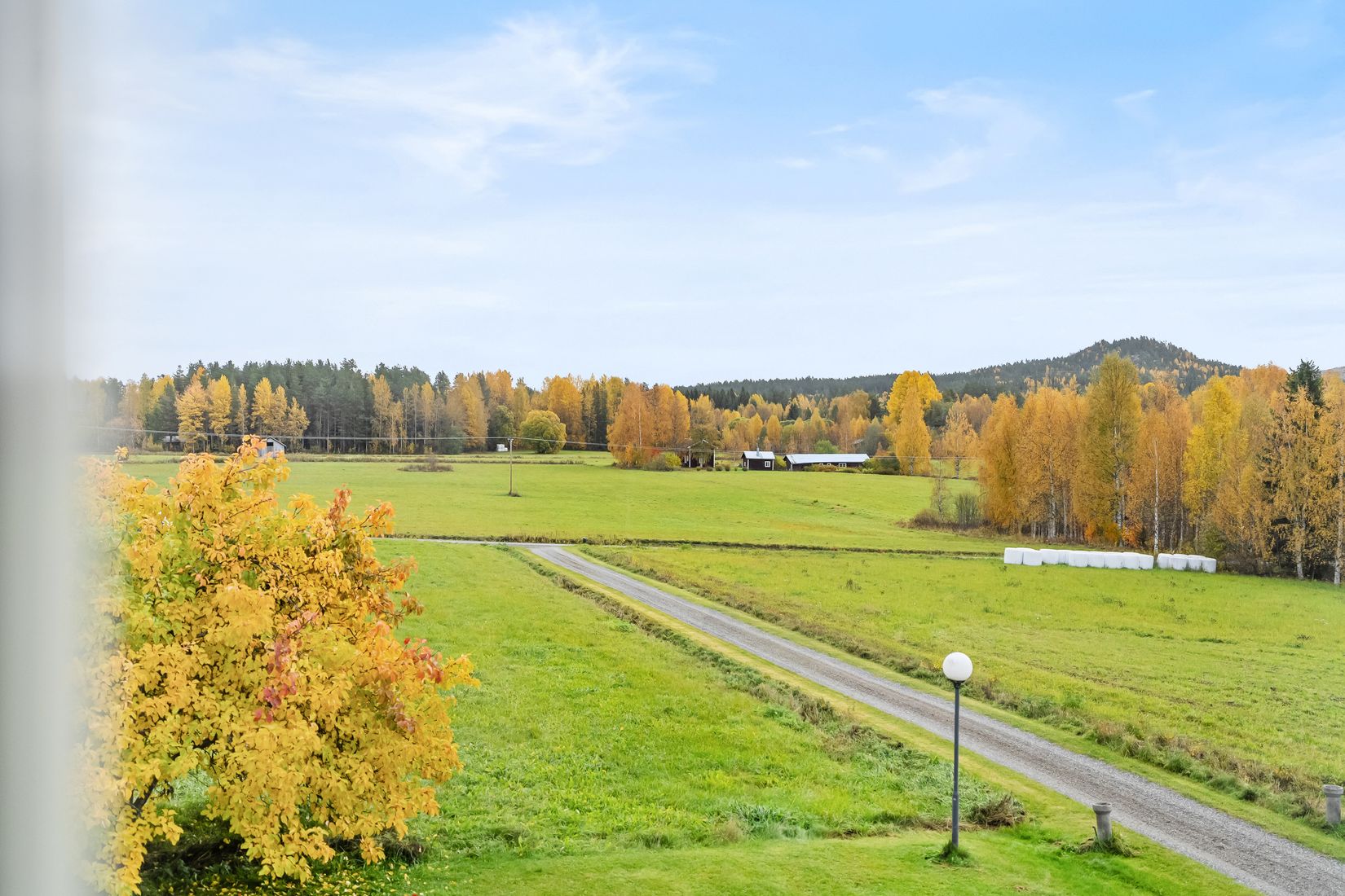 Gård/Skog, Västerede 305, Ånge
