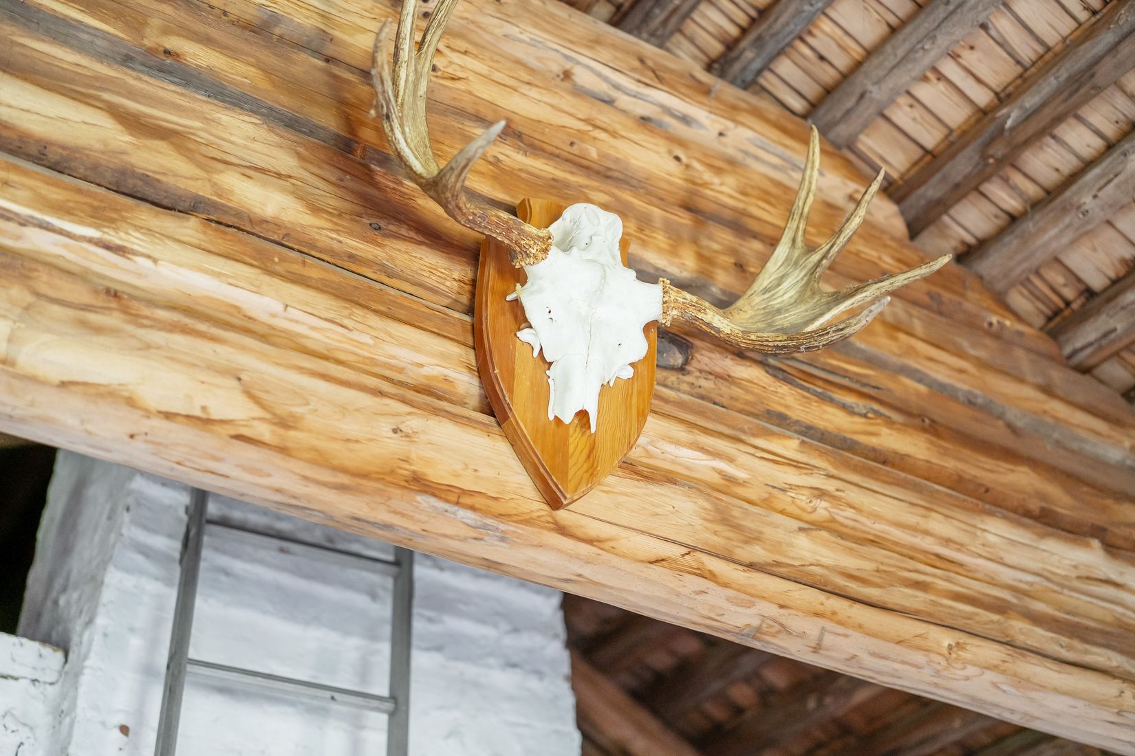 Gård/Skog, Västerede 305, Ånge