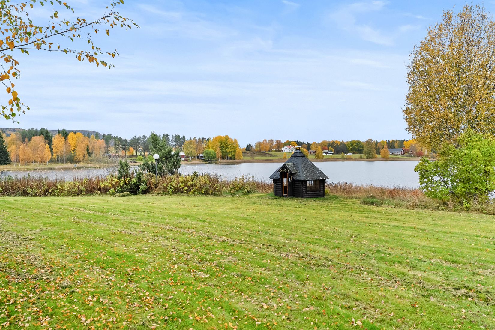 Gård/Skog, Västerede 305, Ånge