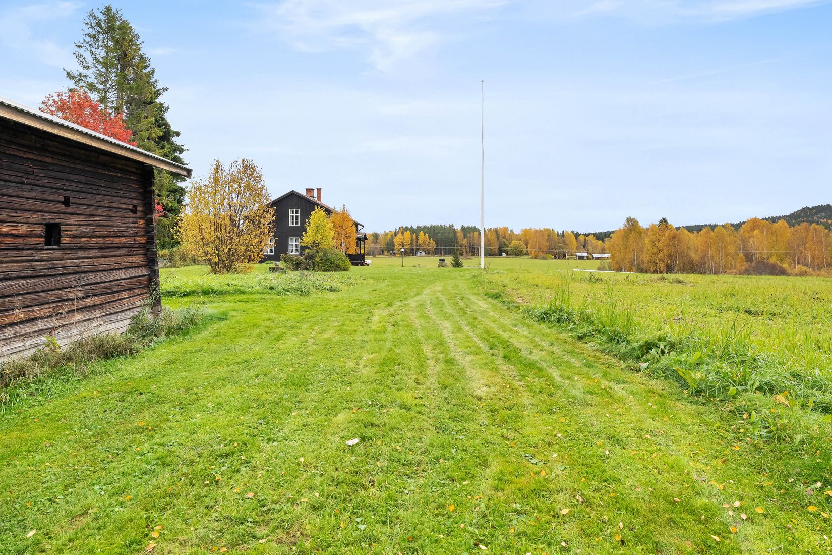 Gård/Skog, Västerede 305, Ånge