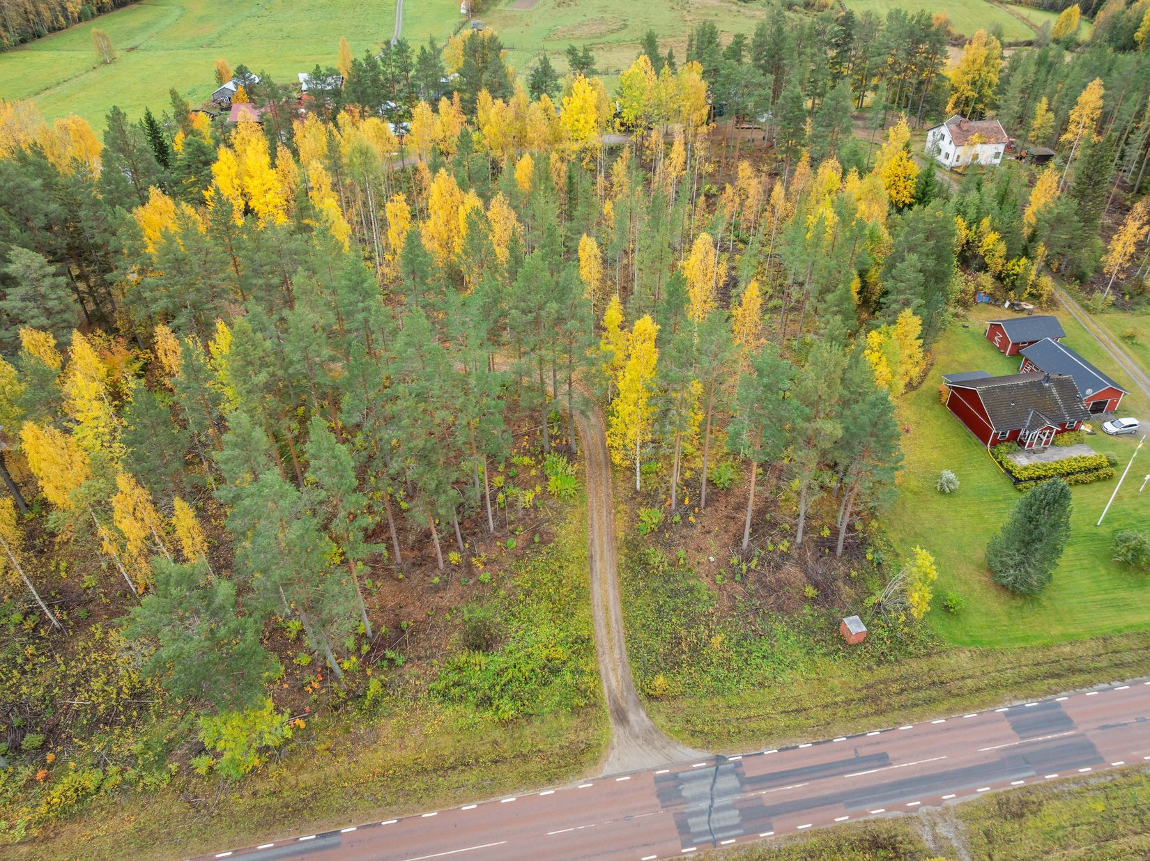 Gård/Skog, Västerede 305, Ånge