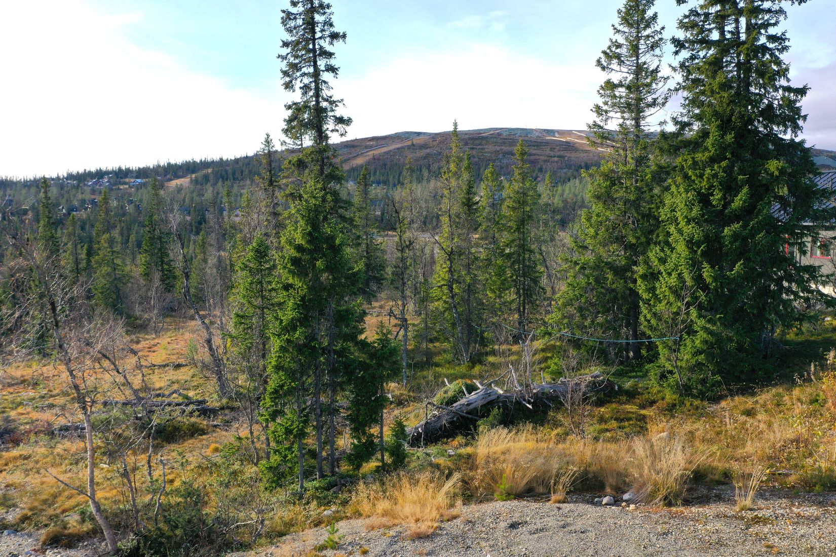 Tomt, Sten Karlssons väg 8, Solbacken, Storhogna, Berg