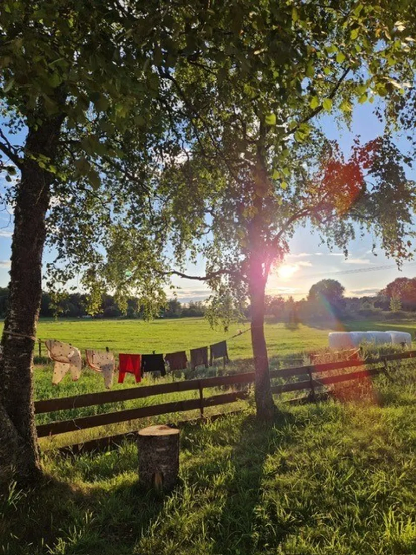 Fritidshus, Toftinge ängsstig 20, Toftinge, Norrtälje