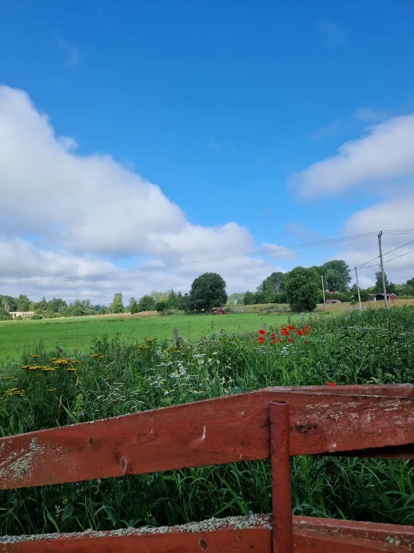 Fritidshus, Toftinge ängsstig 20, Toftinge, Norrtälje
