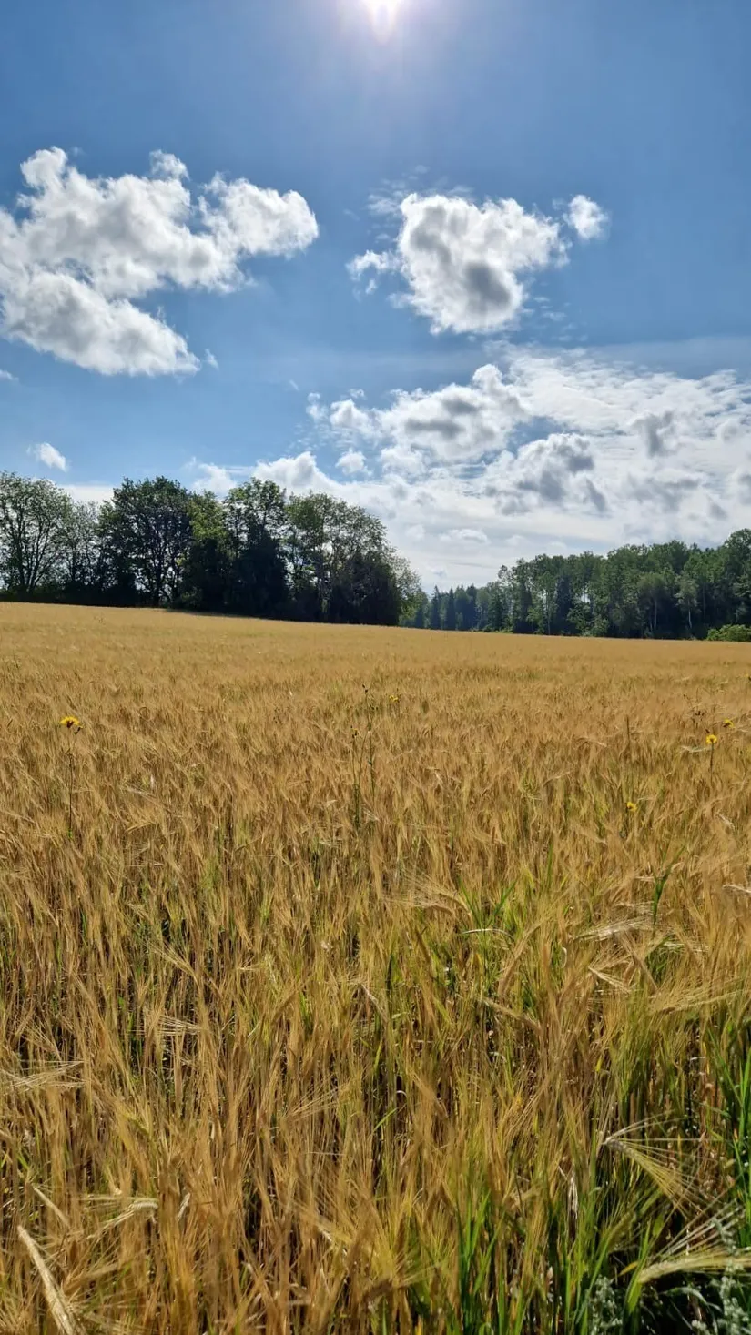 Fritidshus, Toftinge ängsstig 20, Toftinge, Norrtälje