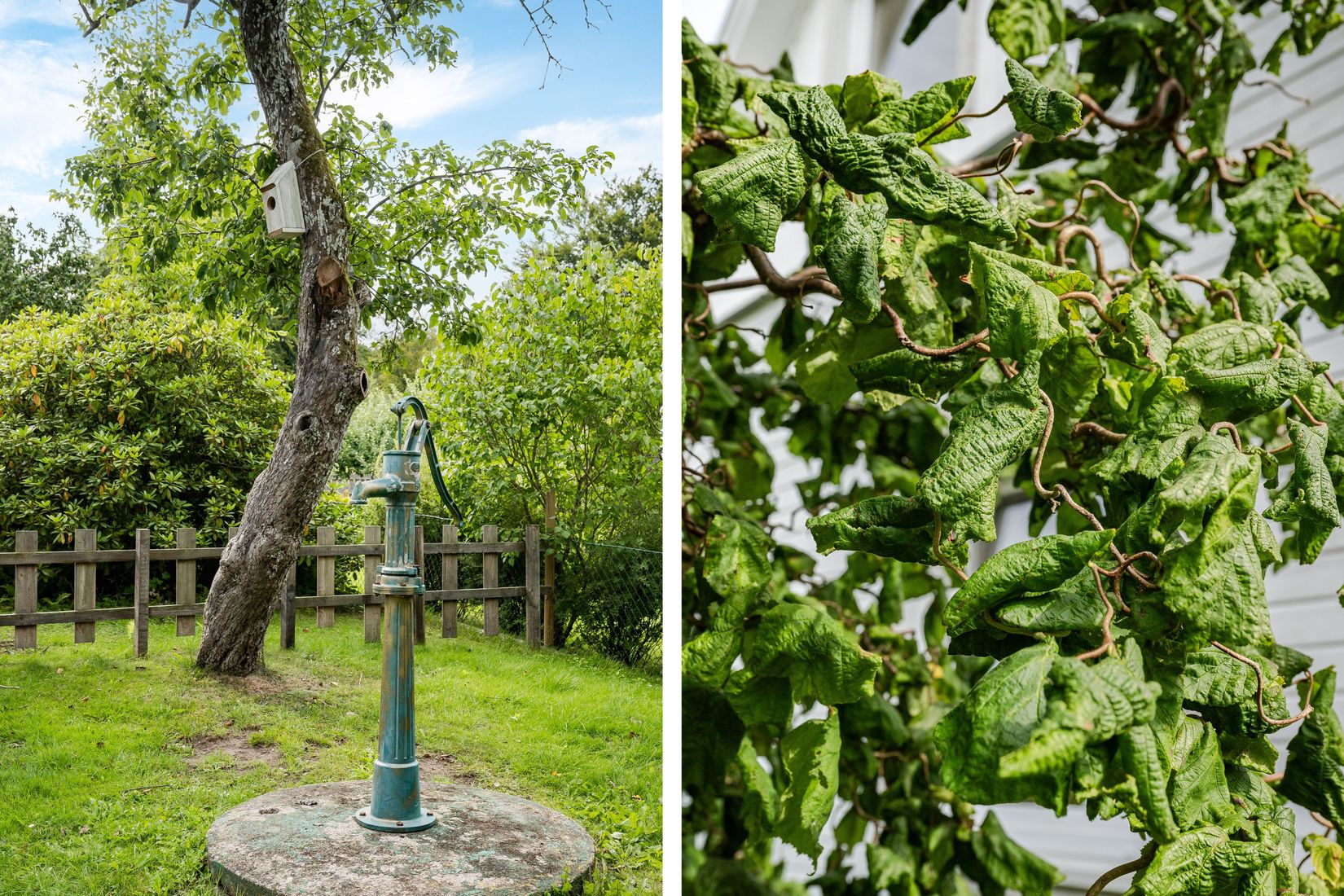 Villa, Rödakorsgatan 11, Hässleholm