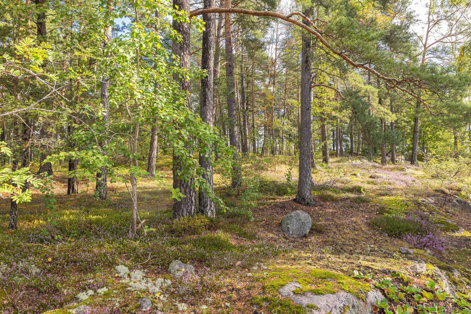 Villa, Sandavägen 37, Odenslunda, Upplands Väsby