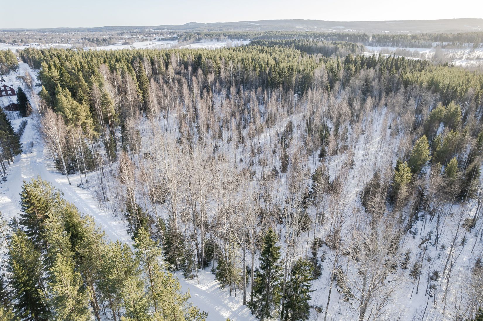 Tomt, Del av Skellefteå Degerbyn 6:21, Degerbyn, Skellefteå