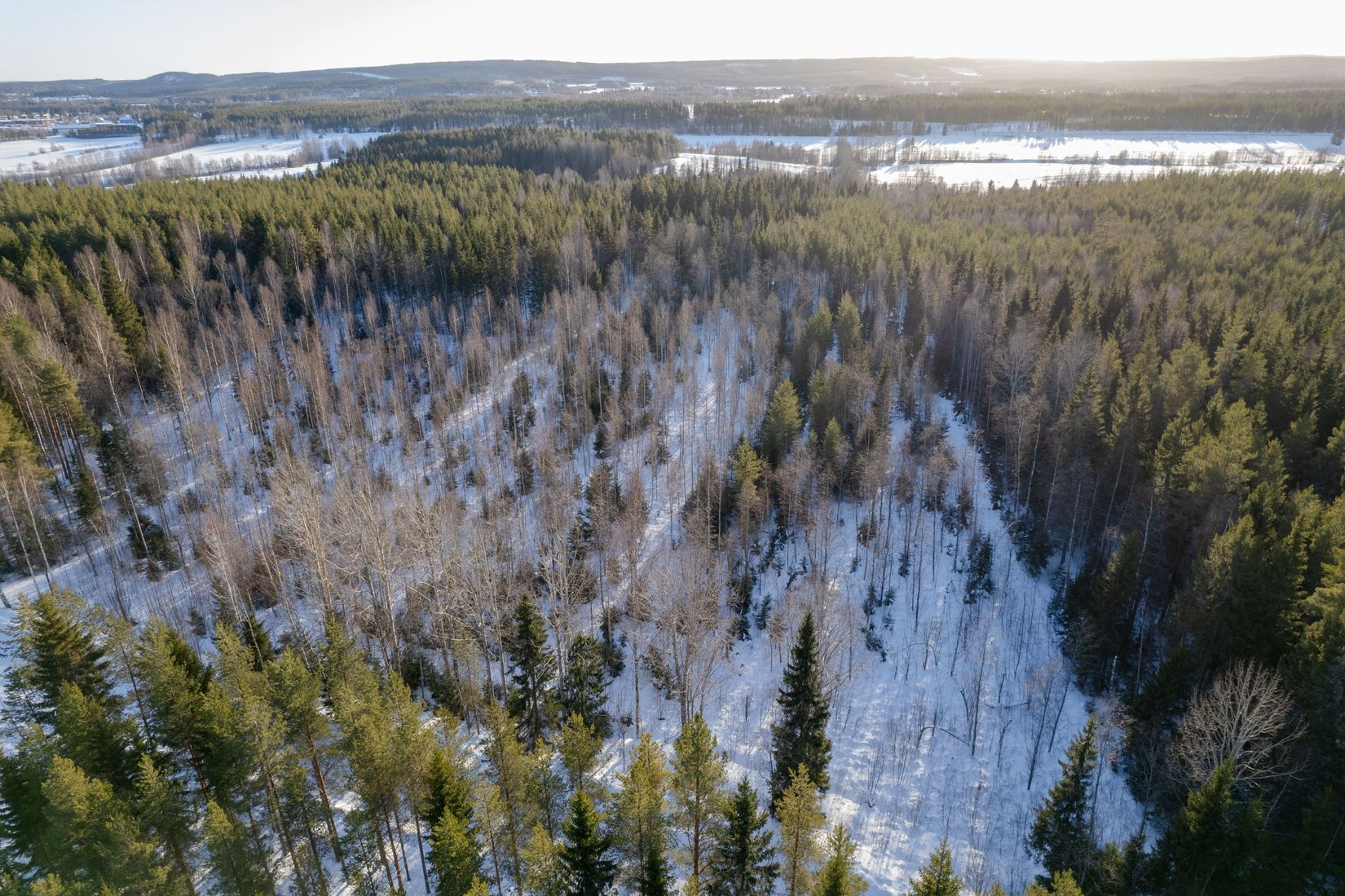 Tomt, Del av Skellefteå Degerbyn 6:21, Degerbyn, Skellefteå