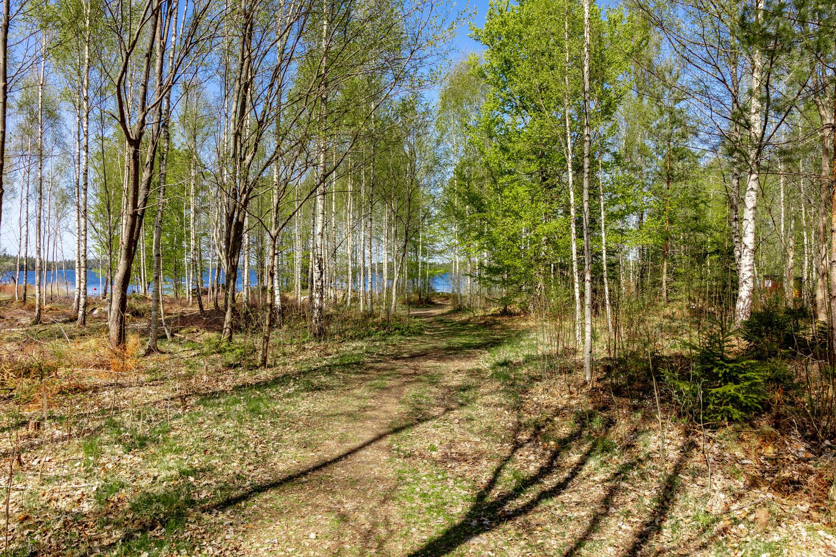 Bostadsrätt, Ekesåsvägen 113, Långarör, Växjö