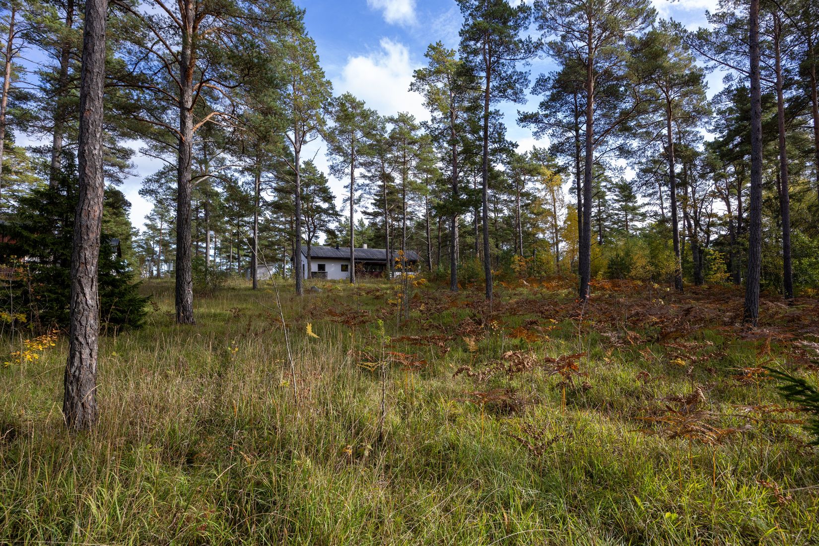 Tomt, Rute Hollandarvägen 16A, Rute - Nordöstra Gotland, Gotland