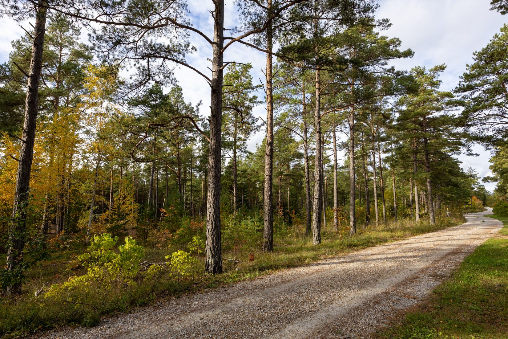 Tomt, Rute Hollandarvägen 16A, Rute - Nordöstra Gotland, Gotland