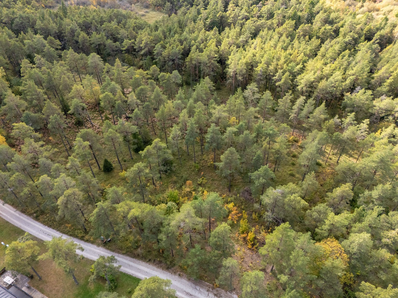 Tomt, Rute Hollandarvägen 16A, Rute - Nordöstra Gotland, Gotland