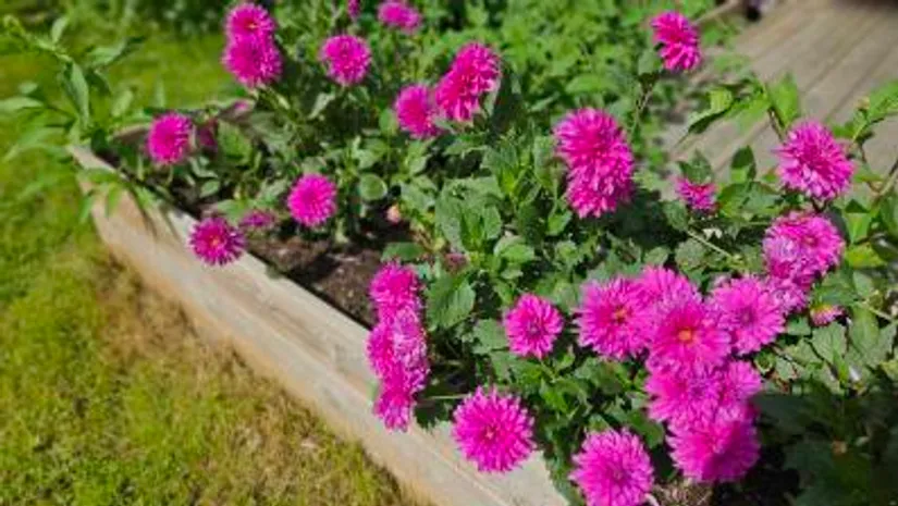 Villa, Prästgatan 34, Centralt, Kristinehamn