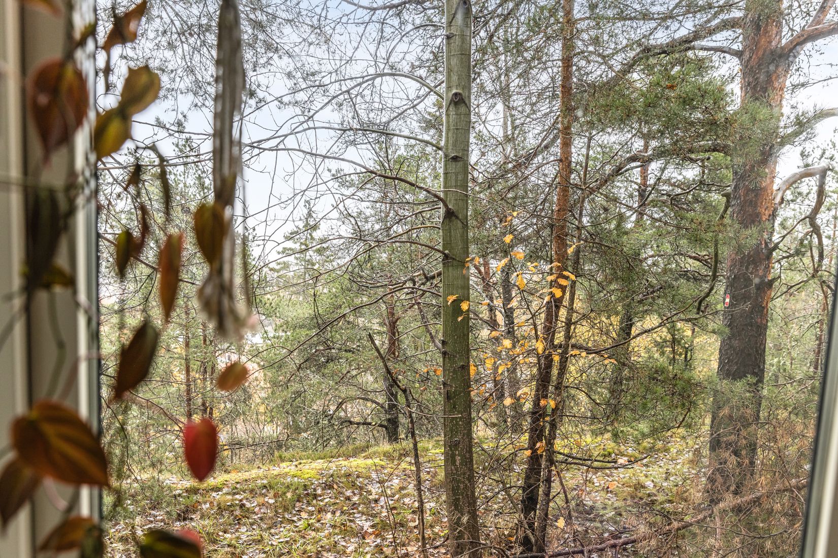 Bostadsrätt, Jönåkersvägen 2B, Svedmyra, Stockholm