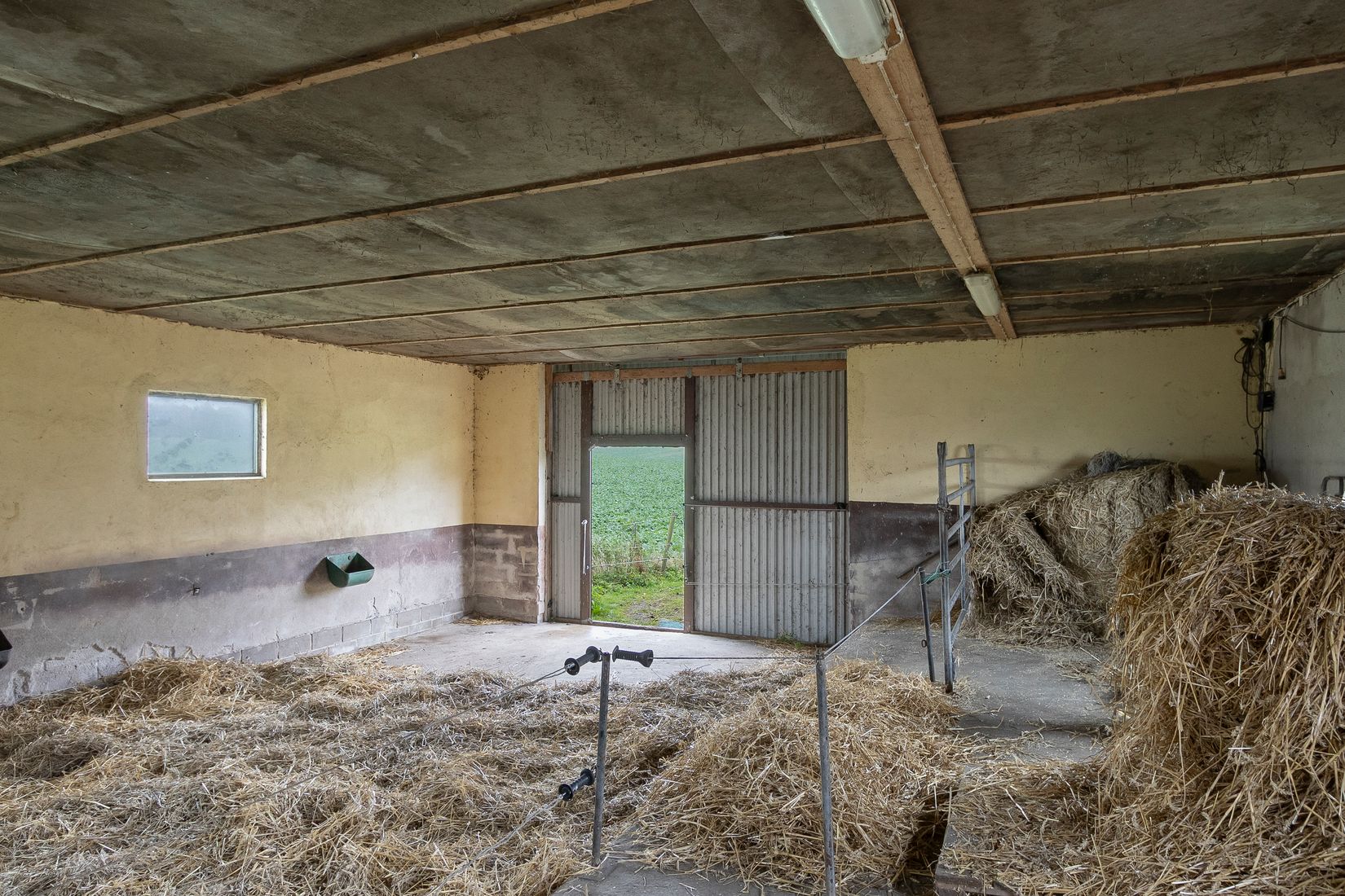 Gård/Skog, Fyndvägen 12-87, Alestad, Sjöbo