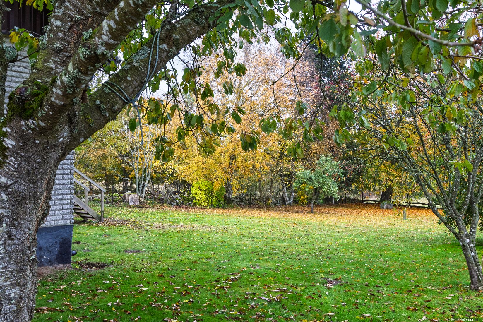 Gård/Skog, Fyndvägen 12-87, Alestad, Sjöbo