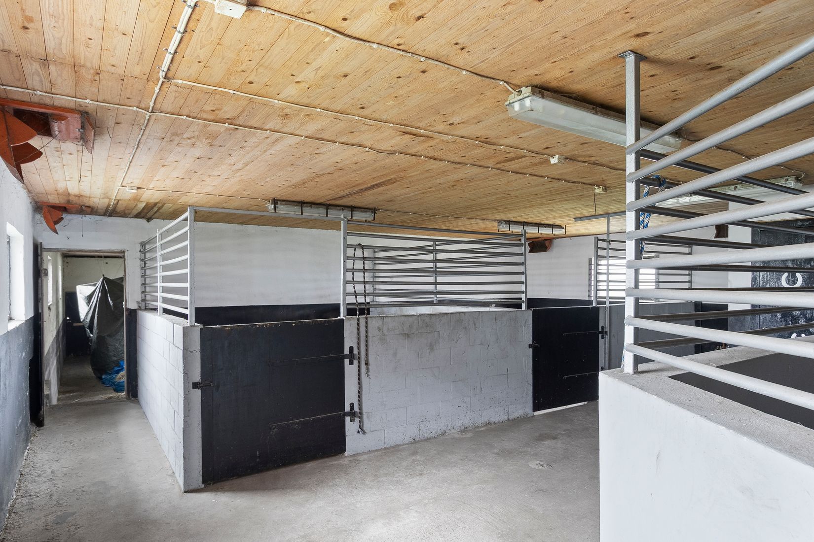 Gård/Skog, Fyndvägen 12-87, Alestad, Sjöbo