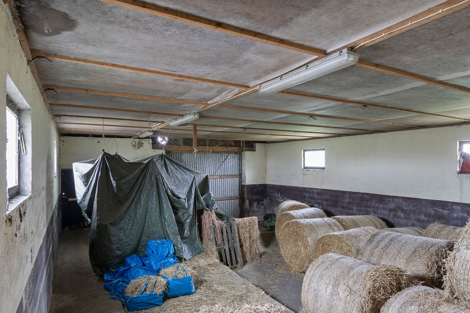 Gård/Skog, Fyndvägen 12-87, Alestad, Sjöbo