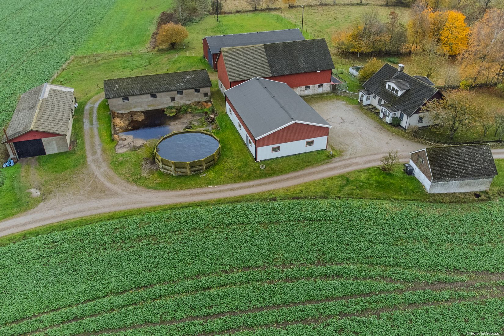 Gård/Skog, Fyndvägen 12-87, Alestad, Sjöbo