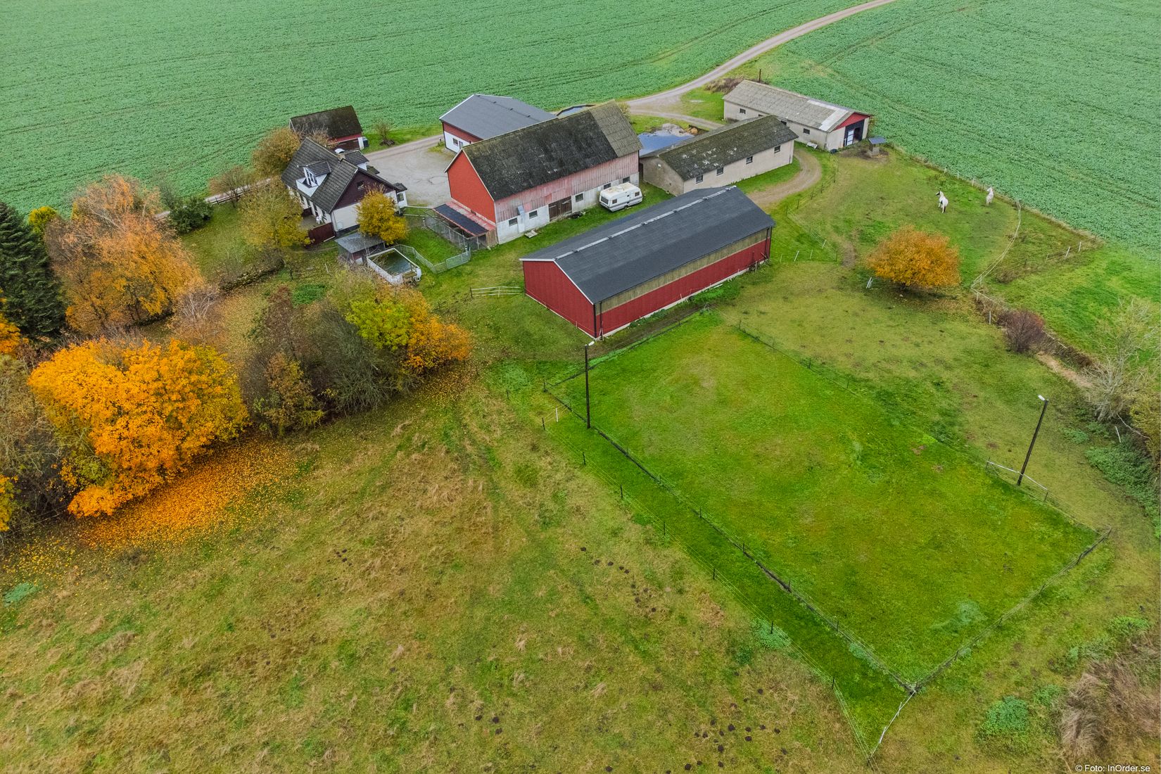 Gård/Skog, Fyndvägen 12-87, Alestad, Sjöbo