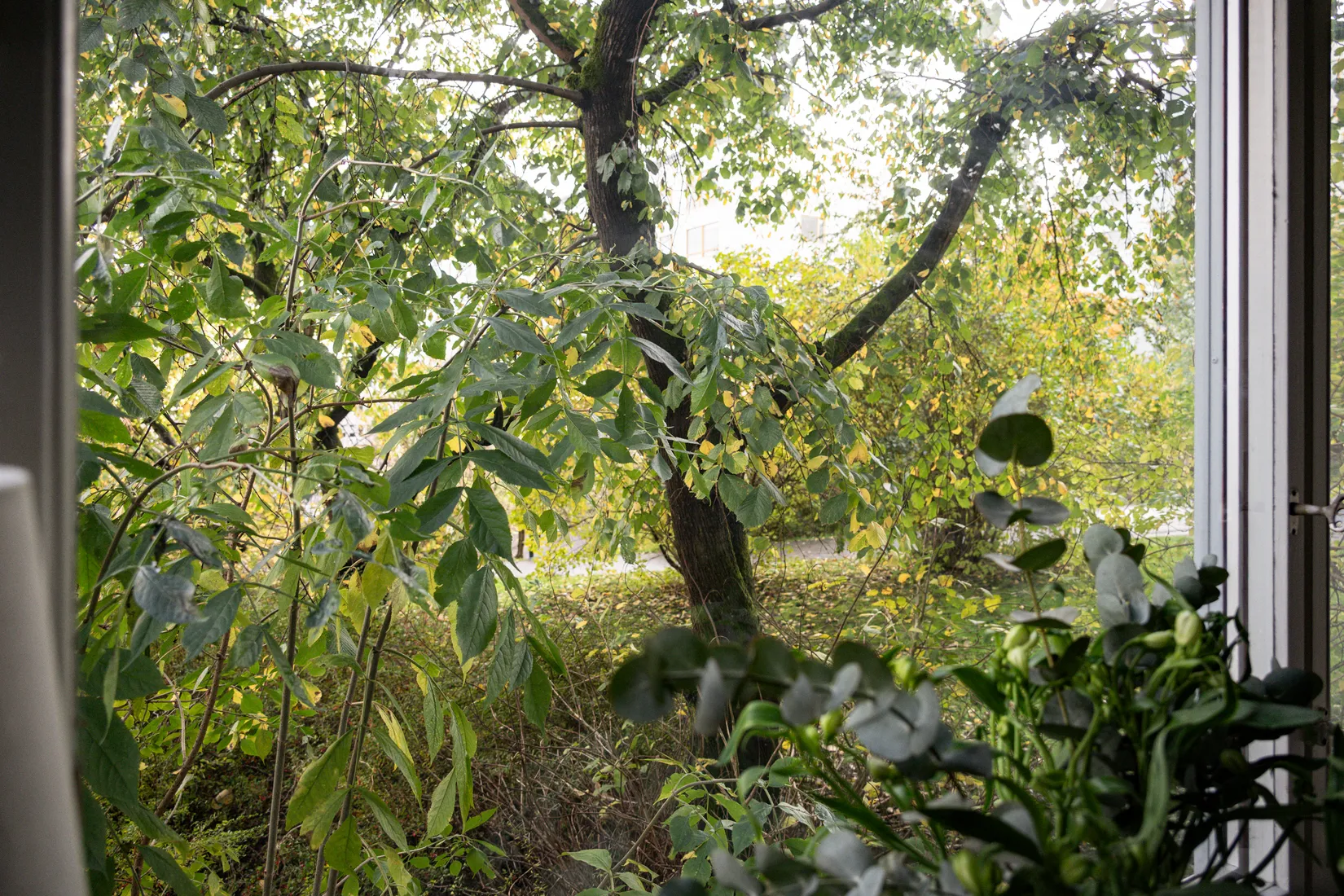 Bostadsrätt, Skepparegången 26, Masthugget, Göteborg