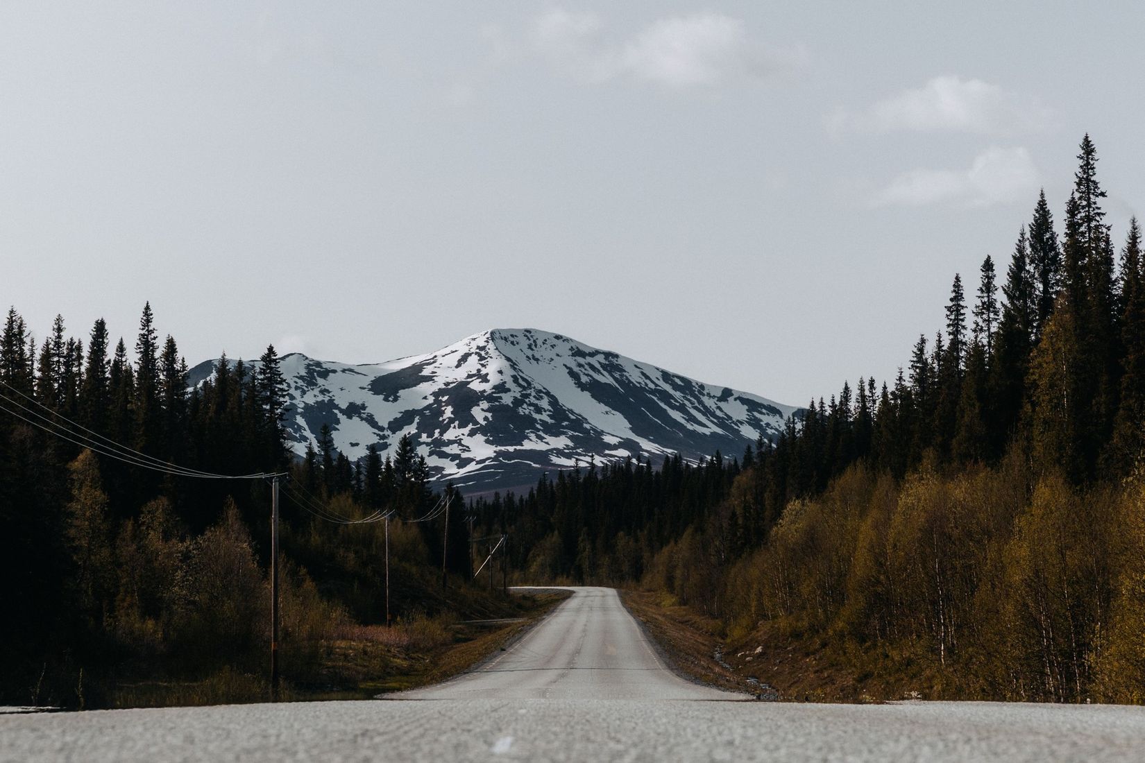 Tomt, Avasjövägen, Borgafjäll, Dorotea
