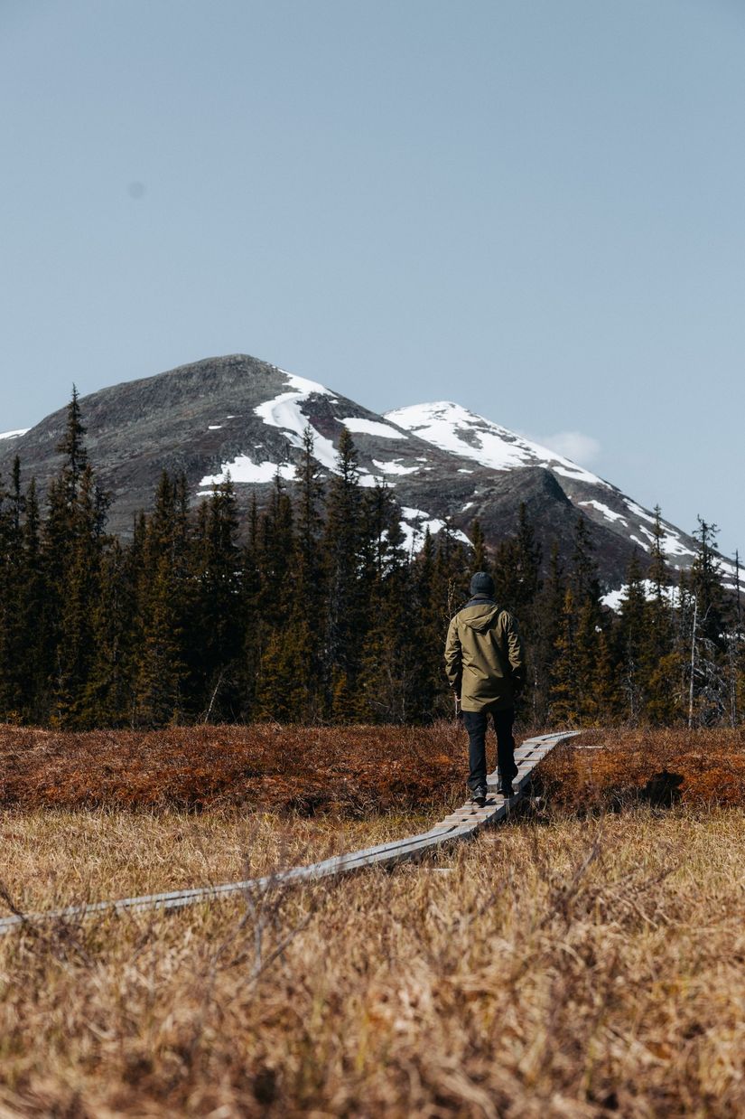 Tomt, Avasjövägen, Borgafjäll, Dorotea