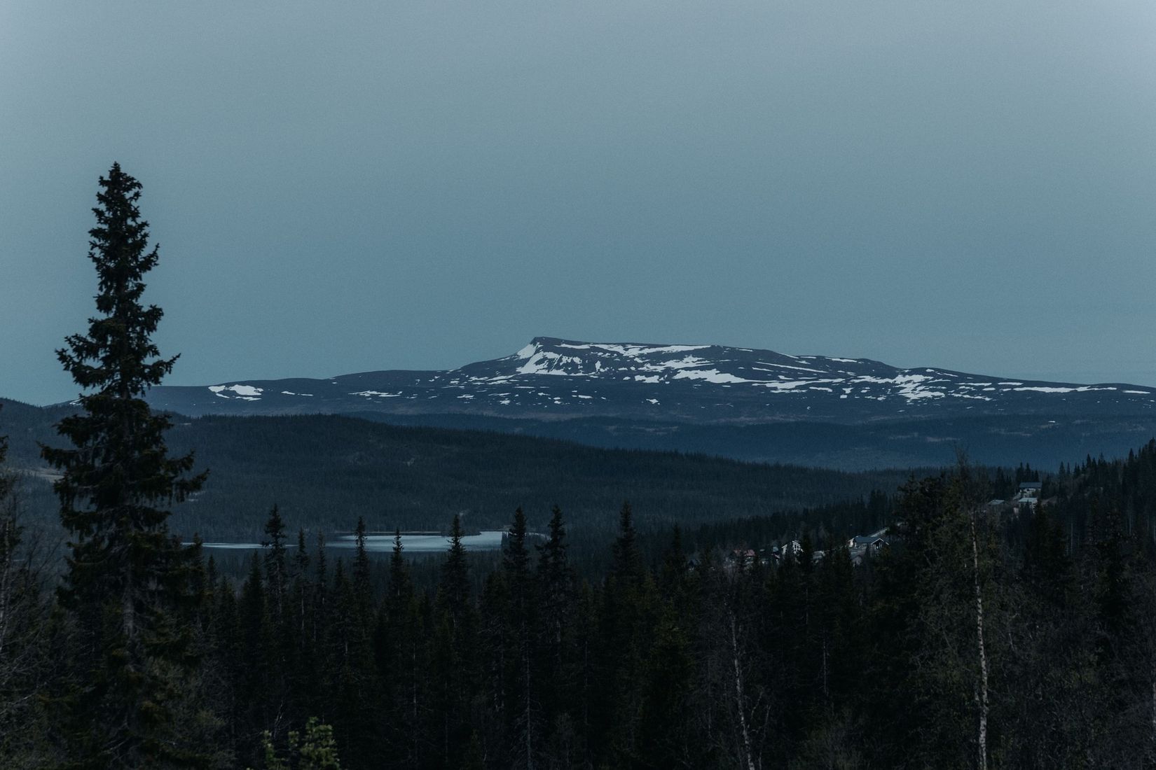Tomt, Avasjövägen, Borgafjäll, Dorotea